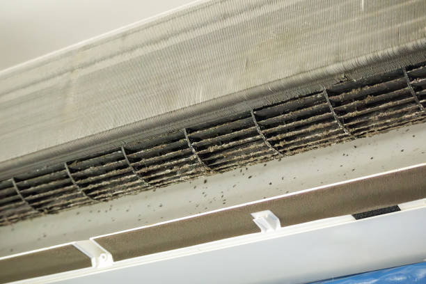 Best Air Duct Cleaning Near Me  in Watervliet, MI